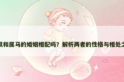 属鼠和属马的婚姻相配吗？解析两者的性格与相处之道