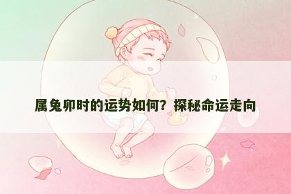 属兔卯时的运势如何？探秘命运走向