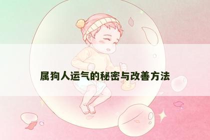 属狗人运气的秘密与改善方法