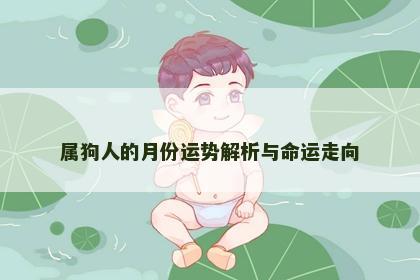 属狗人的月份运势解析与命运走向