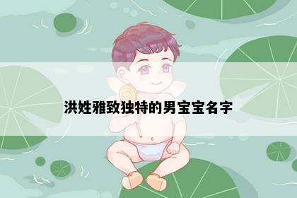 洪姓雅致独特的男宝宝名字