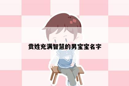 贲姓充满智慧的男宝宝名字