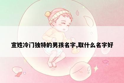 宣姓冷门独特的男孩名字,取什么名字好