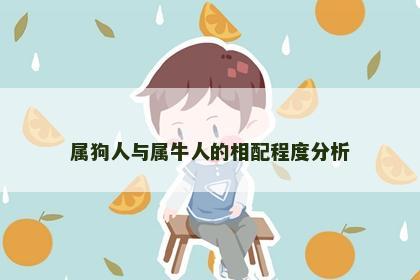 属狗人与属牛人的相配程度分析