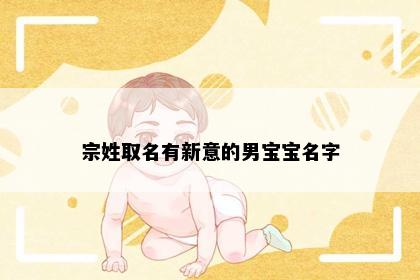 宗姓取名有新意的男宝宝名字