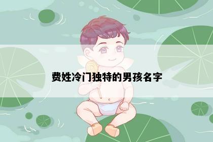 费姓冷门独特的男孩名字