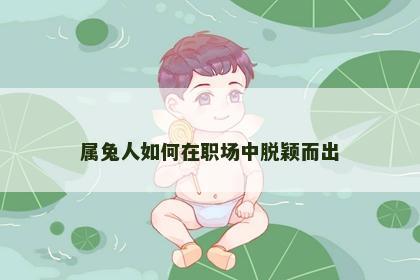 属兔人如何在职场中脱颖而出