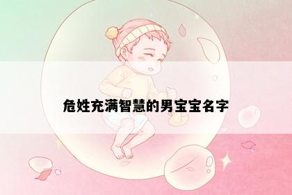 危姓充满智慧的男宝宝名字