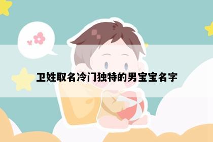 卫姓取名冷门独特的男宝宝名字