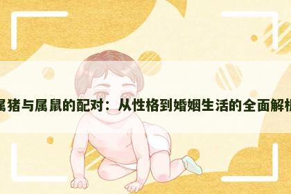 属猪与属鼠的配对：从性格到婚姻生活的全面解析