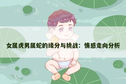 女属虎男属蛇的缘分与挑战：情感走向分析