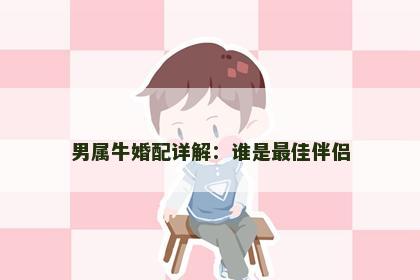 男属牛婚配详解：谁是最佳伴侣