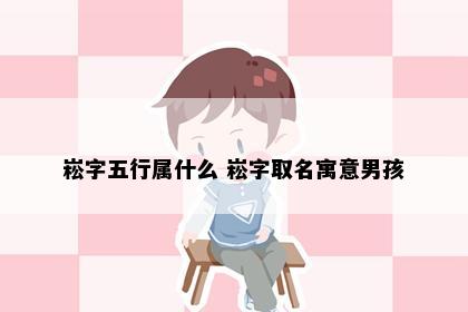 崧字五行属什么 崧字取名寓意男孩