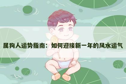 属狗人运势指南：如何迎接新一年的风水运气