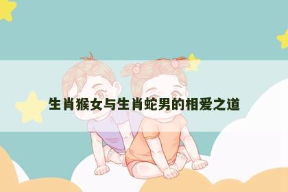 生肖猴女与生肖蛇男的相爱之道